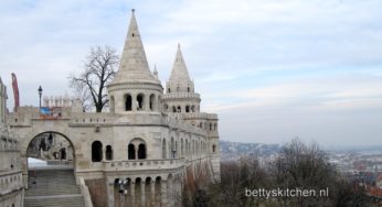 Reisblog Boedapest: Boeda