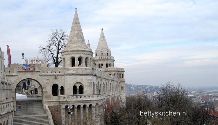 Reisblog Boedapest: Boeda