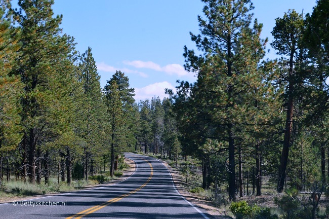 bryce_canyon_trees-001