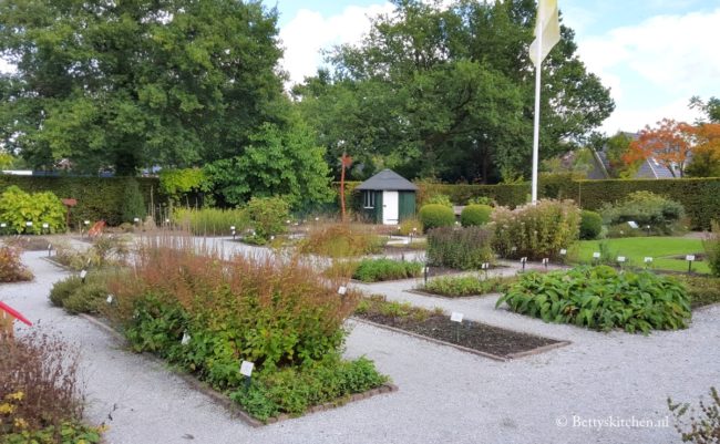 botanische tuin de kruidhof + tuincafe in Buitenpost vlakbij leeuwarden in friesland