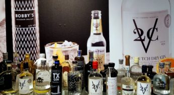 GIN Tours in Schiedam
