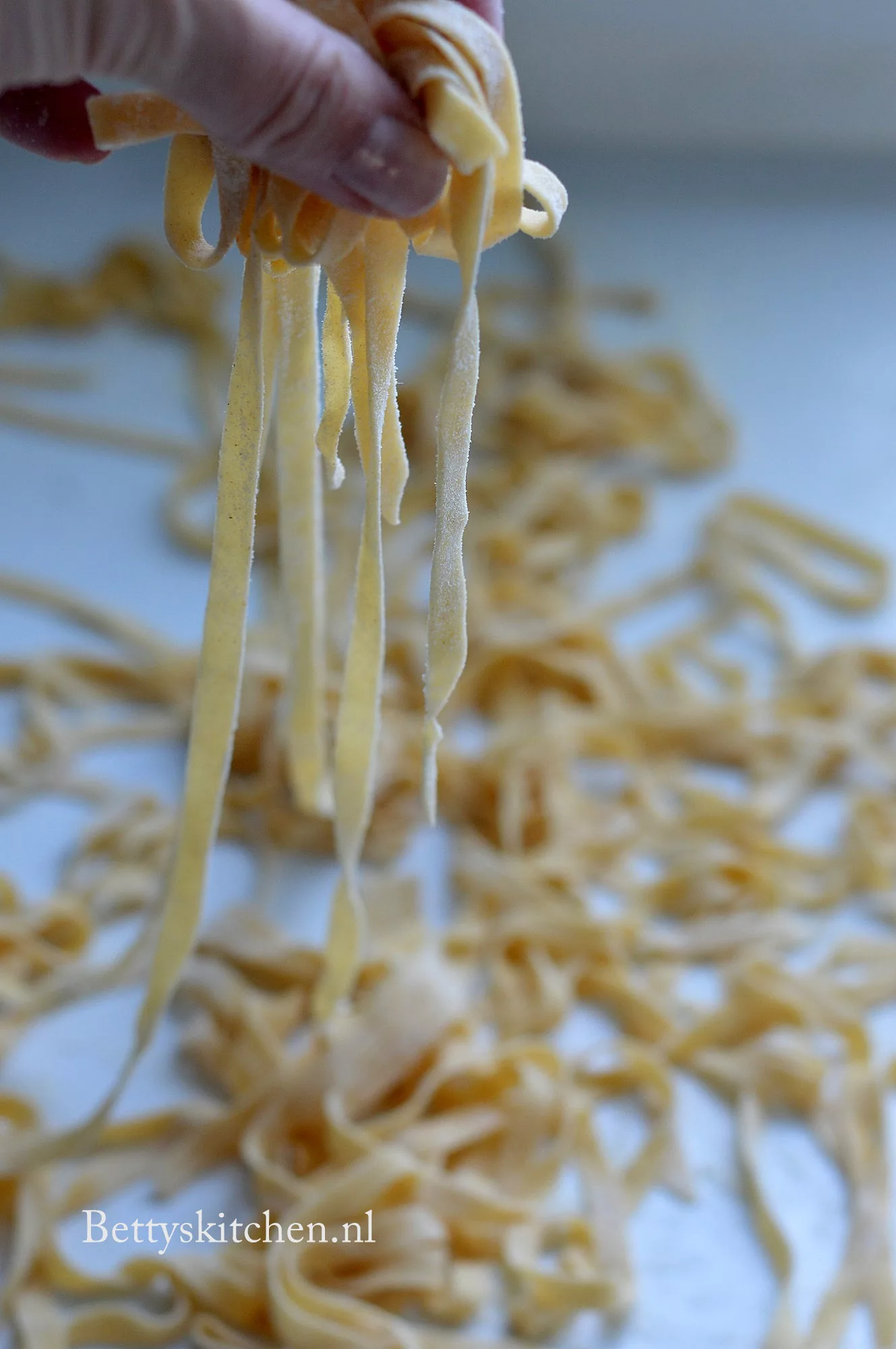 hiërarchie beroerte Ashley Furman Basisrecept pasta maken | Betty's Kitchen Pasta Recepten