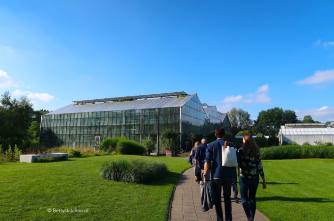 de maaltuin pop up restaurant in utrecht botanische tuinen © Bettysktichen