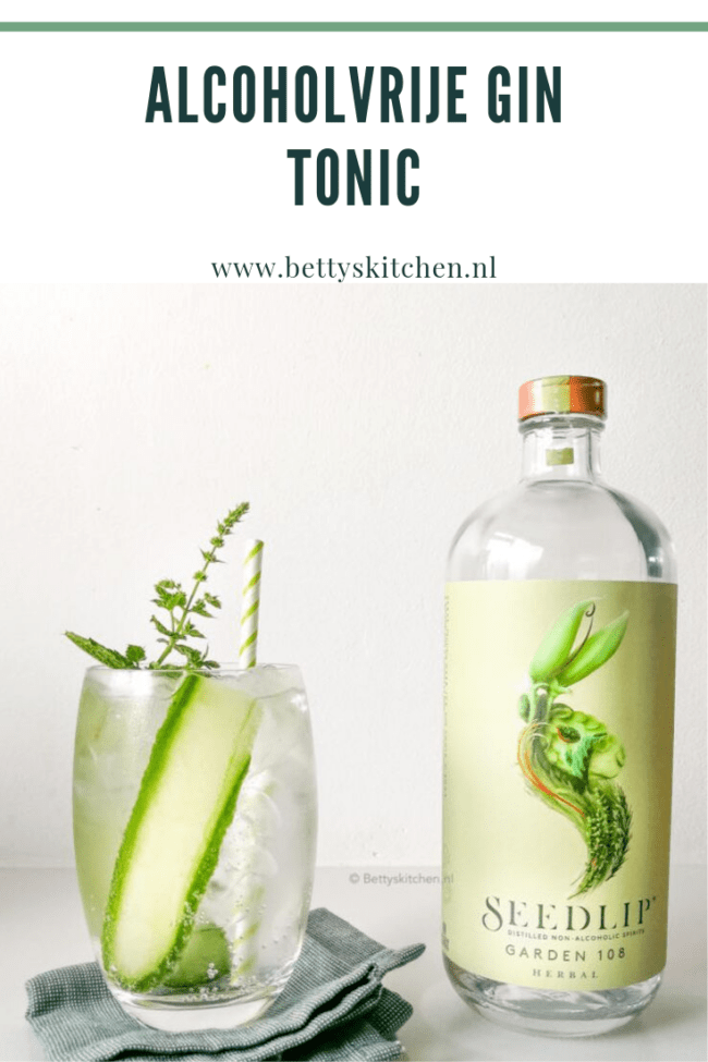 7x alcoholvrije gin tonic recepten