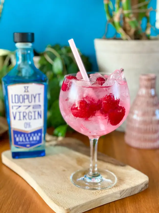 7x alcoholvrije gin tonic maken © bettyskitchen.nl