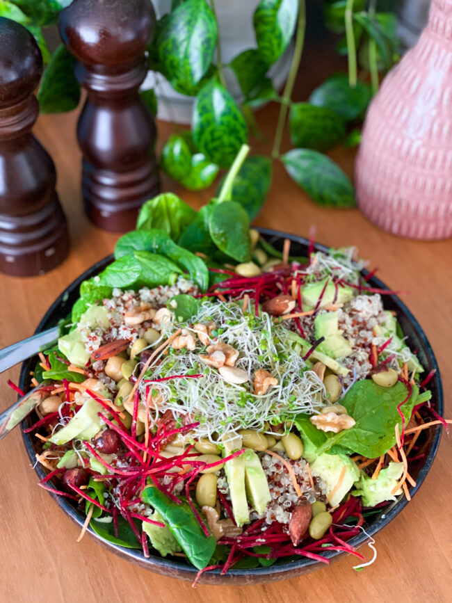 salade met quinoa pre-tox sapvasten