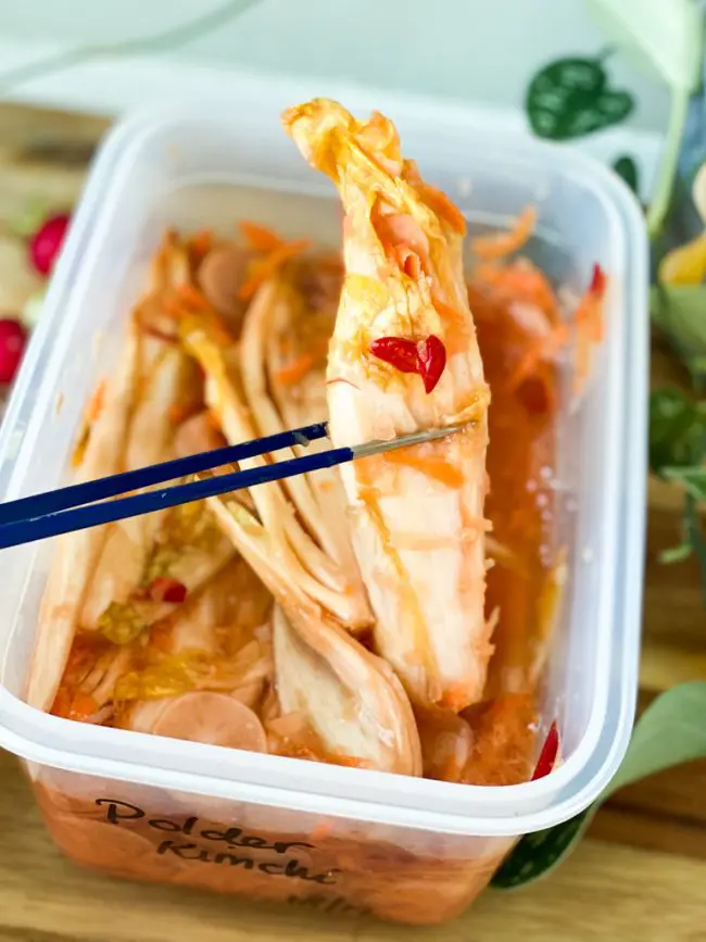 zelf polderkimchi maken met witlof © bettyskitchen.nl