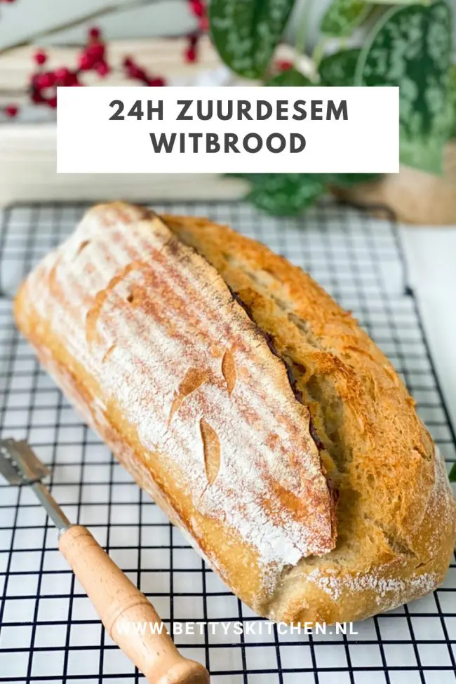 zelf 24H desembrood bakken desem witbrood met lange fermentatie