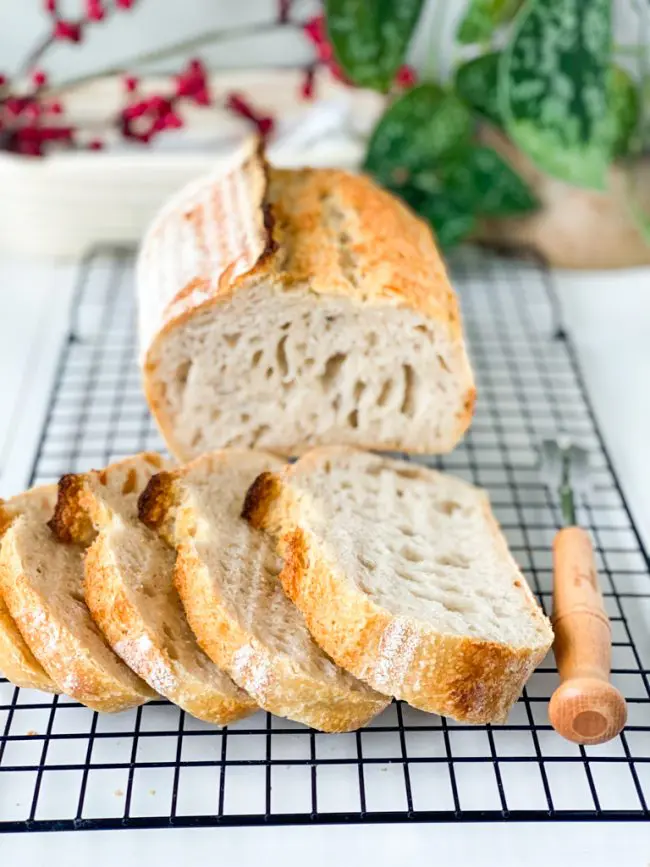 recept 24H desembrood bakken © bettyskitchen.nl