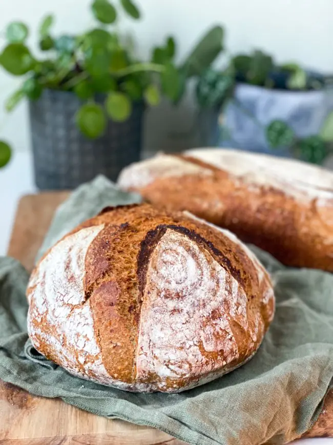 broodbak mix omrekenen voor desembrood © bettyskitchen.nl