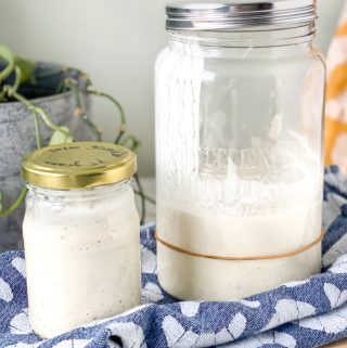 Zuurdesem starter | Koken met Koesen