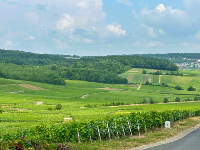 Champagne drinken in de Champagne streek in Frankrijk © bettyskitchen.nl