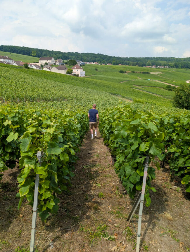 Champagne drinken in de Champagne streek in Frankrijk