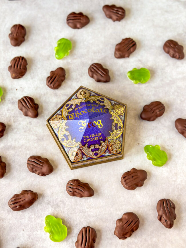 recept chocolade kikkers harry potter © bettyskitchen.nl
