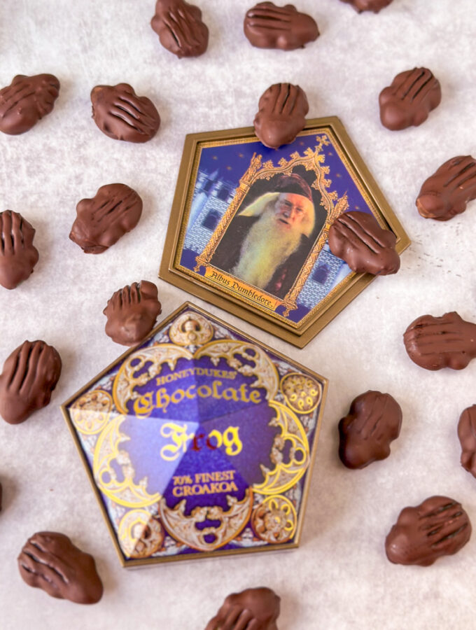 recept chocolade kikkers harry potter © bettyskitchen.nl
