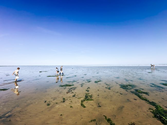 15 leuke dingen om te doen op Texel met kinderen. © bettyskitchen.nl